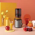 HUROM H201 Slow Juicer 200W, 2L, titangrey