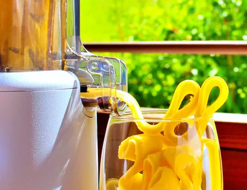 Hurom H310A Slow Juicer (SÖTÉTSZÜRKE) + Juice Biblia