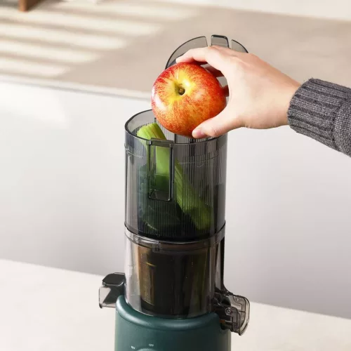 Hurom H310A Slow Juicer (MÉLYZÖLD)
