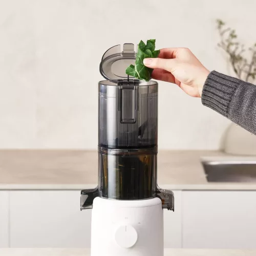 Hurom H310A Slow Juicer (HOMOKSZÍN)