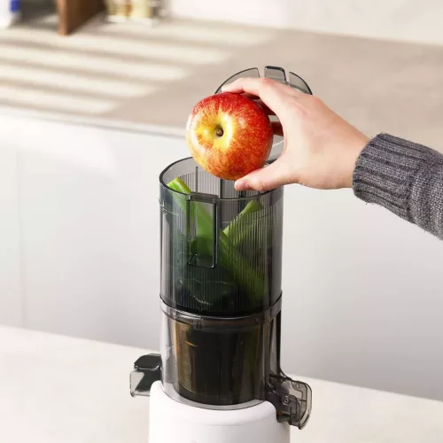 Hurom H310A Slow Juicer (HOMOKSZÍN)