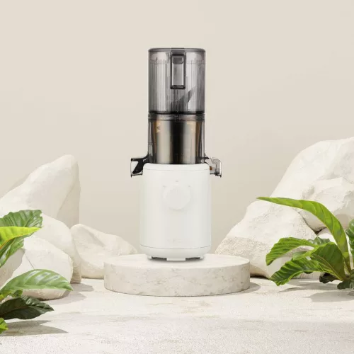 Hurom H310A Slow Juicer (HOMOKSZÍN)