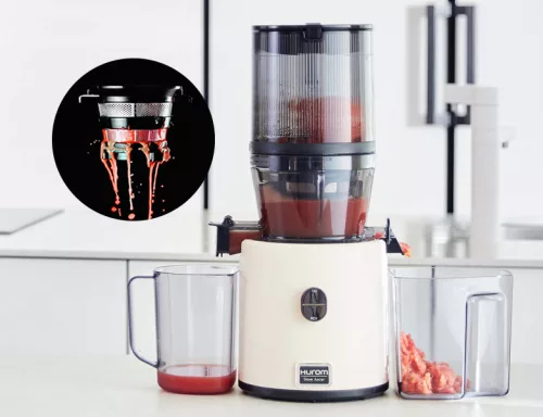 Hurom H330P Premium Slow Juicer (grey)