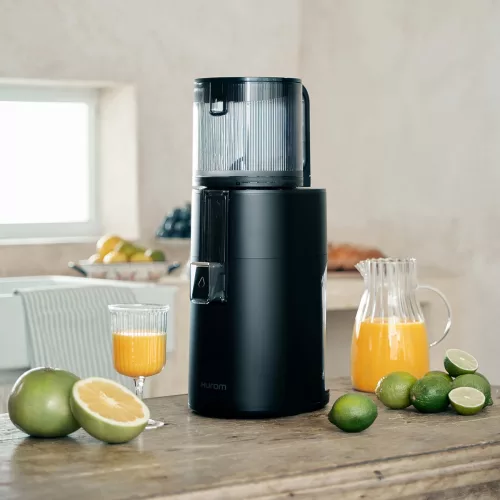 Hurom H400 Slow Juicer (black)