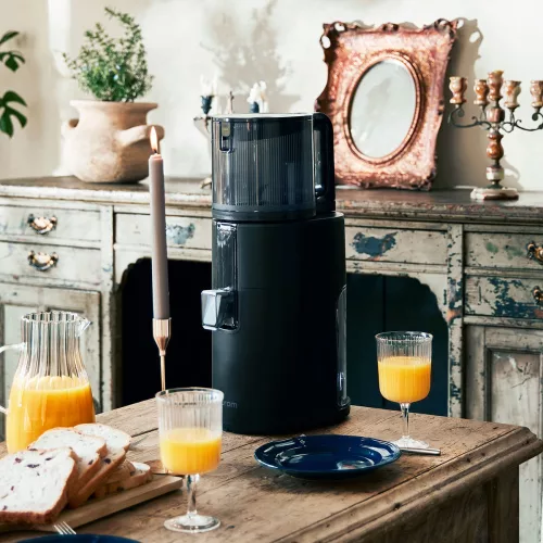 Hurom H400 Slow Juicer (black)