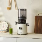 Hurom H80ST Premium Slow Juicer (KALE GREEN)
