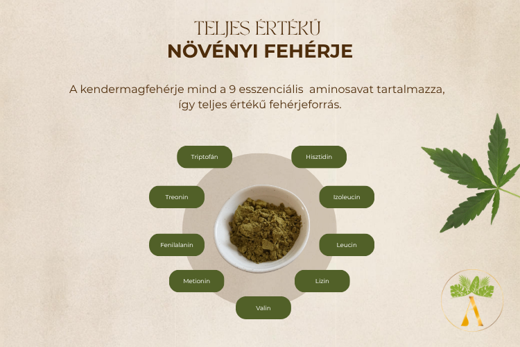 A kendermagfehérje tartalmazza mind a 9 esszenciális aminosavat